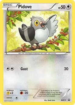 BW Black Star Promos Pidove Pokémon card
